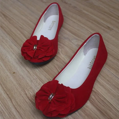 Nola Cozy - Elegant & Supportive Ballerinas for Daily Comfort